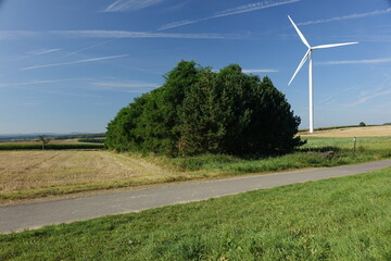Road, fields, trees and wind power mill under a late summer blue sky at the German French border,...