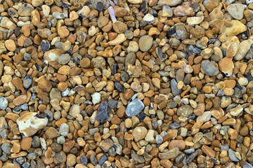 Pebbles and stones from british beach in Hythe, Kent
