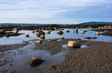 Large tidal pool on the coast of Maine