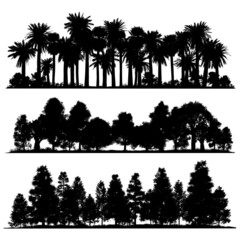 Vector silhouettes of tropical and temperate vegetation. High detail isolated forests. © Patrick Ellis