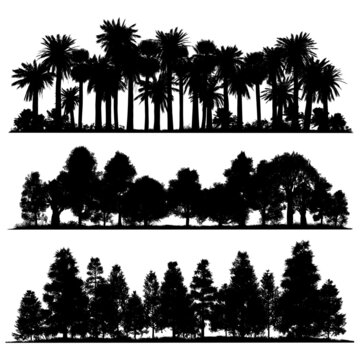 Vector silhouettes of tropical and temperate vegetation. High detail isolated forests.