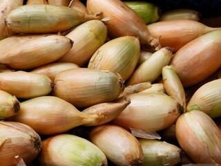 nions as tasty and spicy vegetable close up