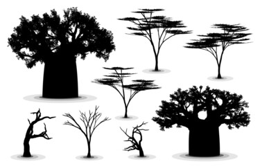Trees of the African savanna. High detail vector silhouettes of baobab trees, acacias, and dead trees. - obrazy, fototapety, plakaty