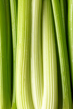 Close up shot of bright green celery stalks in a vertical pattern