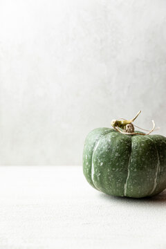 A dark green kabocha squash shot in front of a neutral background
