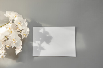 Mockup of an empty white A5 blank on a gray background