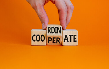 Coordinate and cooperate symbol. Businessman turns wooden cubes and changes the word 'cooperate' to 'coordinate'. Beautiful orange background. Coordinate, cooperate and business concept. Copy space.