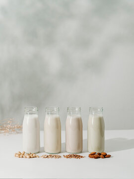 Different types non-dairy vegan milk