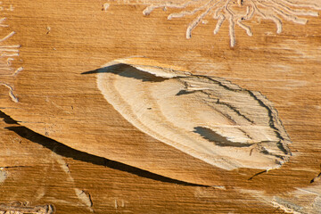 Picture of wood without bark with a stuck ax