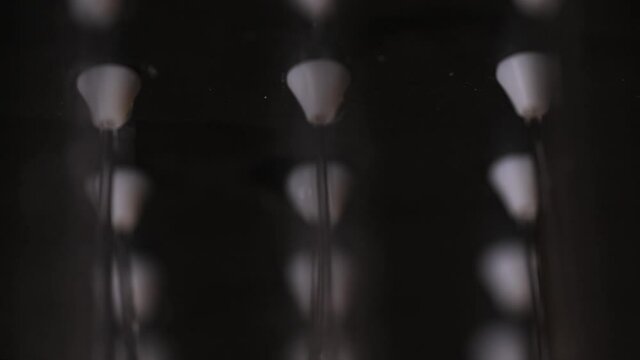 Jets of fresh water streaming from the nozzles of a shower head