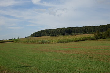 Typical Wallonian landscape in late summer near Torgny, Rouvroy, Luxembourg, Wallonia, southernmost village of Belgium