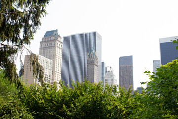 Fototapeta premium skyscrapers in the city rom central park, new york