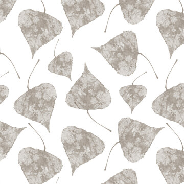 Grey poplar leaves isolated on white background sealess pattern for all prints.