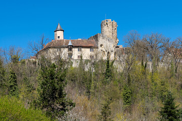 Fototapeta na wymiar Burg Krautheim