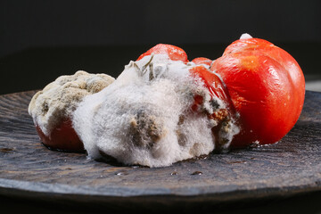 Colored mold on vegetables. Moldy fungus on food. Fluffy spores mold as a background. Mold fungus. Shallow depth of field