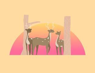 Deers in the woods with sunset