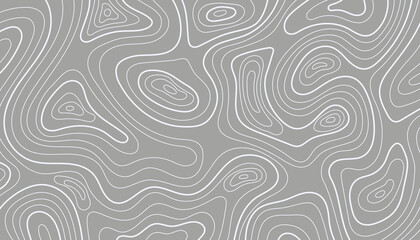 Topographic map contour lines background; 