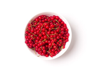 Red currant berry in a white bowl. View from above. Studio photography