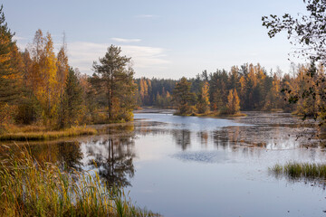 Beautiful lake in a forest in autumn. Trees that change color in autumn.