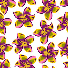 Exotic plumeria seamless pattern isolated on white background.