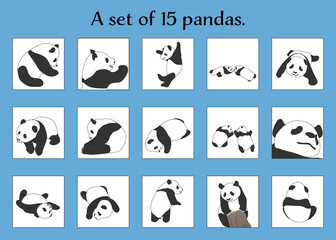 A set of 15 pandas.  social media post, copy space, square, vector illustration, animal, graphic  © allstar