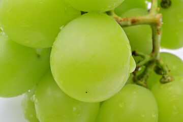 葡萄　シャインマスカット
