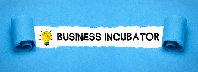 Business Incubator 