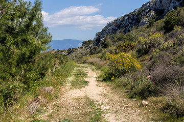 Fototapeta na wymiar Environmental park Peramatos - Schistos in Athens District (Greece)