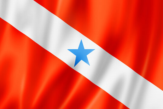 Para state flag, Brazil