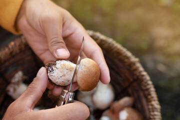 Man peeling mushroom with knife over basket outdoors, closeup