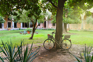 Fototapeta premium One bicycle with beautiful knitted baskets stands near a tree in the garden in the rays of the daytime sun
