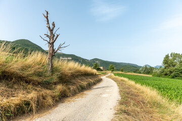 Fototapeta na wymiar Walking path in a valley of the Drome.