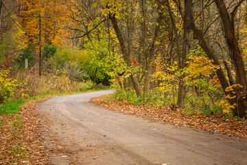 Fototapeta na wymiar A dirt country road with telephone line curves into a colourful fall forest on an overcast afternoon