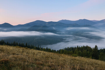 Fototapeta na wymiar Amazing view of beautiful mountain landscape covered with fog