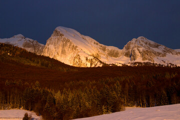 Foliage tra la neve 02