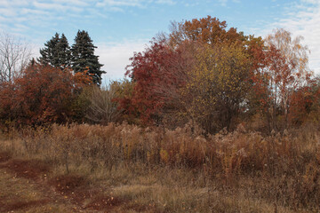 autumn park