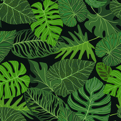 Fototapeta na wymiar Luxury nature seamless background. Tropical leaves Philodendron plant with monstera plant, jungle plants. Vector illustration.