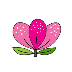 color flower isolated background for abstract design.