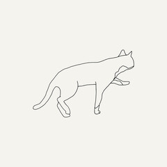Cat vector illustration in doodle style