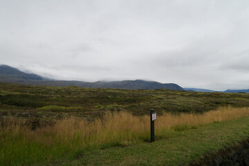 Fototapeta premium A nature view of Iceland