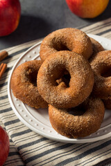 Sweet Homemade Apple Cider Donuts