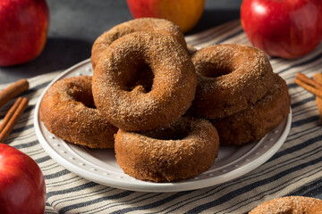 Sweet Homemade Apple Cider Donuts