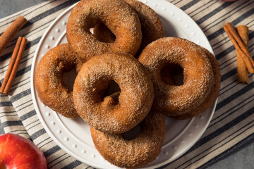 Sweet Homemade Apple Cider Donuts