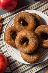 Sweet Homemade Apple Cider Donuts
