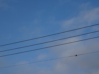 青空と雲と電線