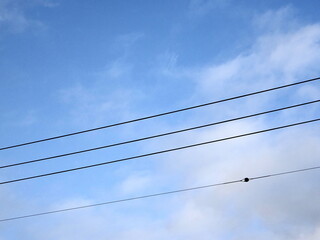 青空と雲と電線