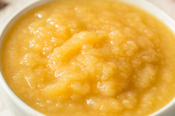 Healthy Organic Raw Apple Sauce