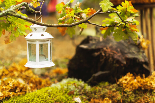 white decorative lantern hangs on an oak branch. autumn landscape