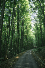 Exploring roads less ridden, little adventures around hometown