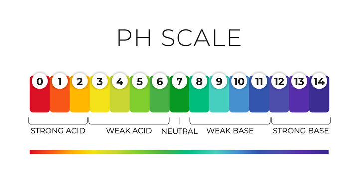 pH value scale chart for acid-alkaline solution. Acid-base balance infographic isolated on white background. Indicator for concentration of hydrogen ion in solution. Vector illustration